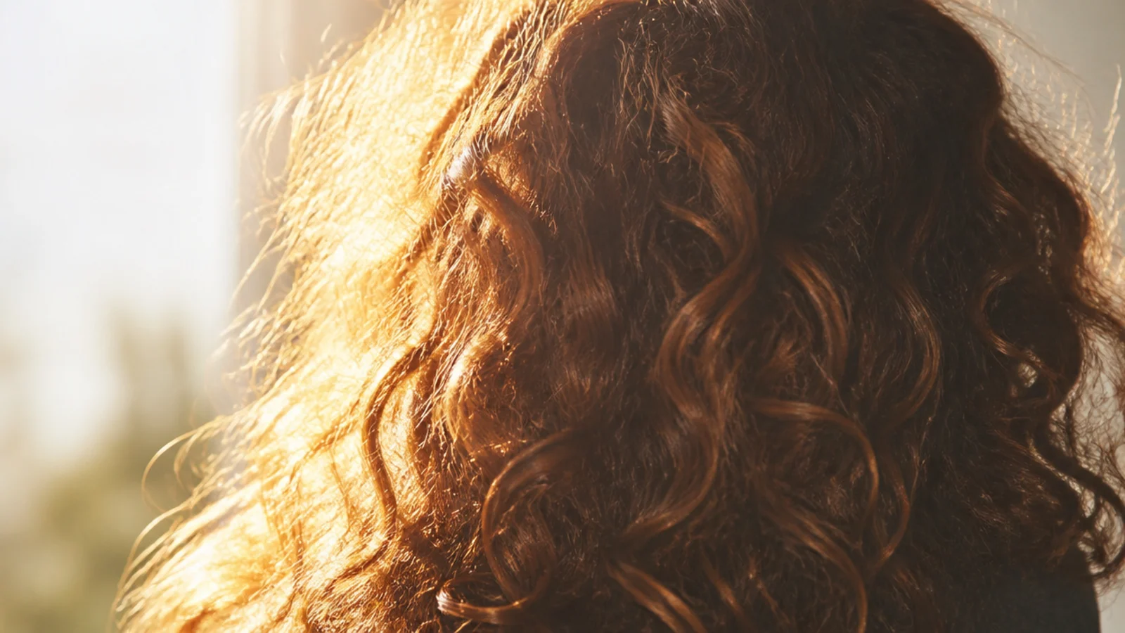 Backlit frizzy curly hair aesthetic glowing gold at sunset with a lit halo of flyaways
