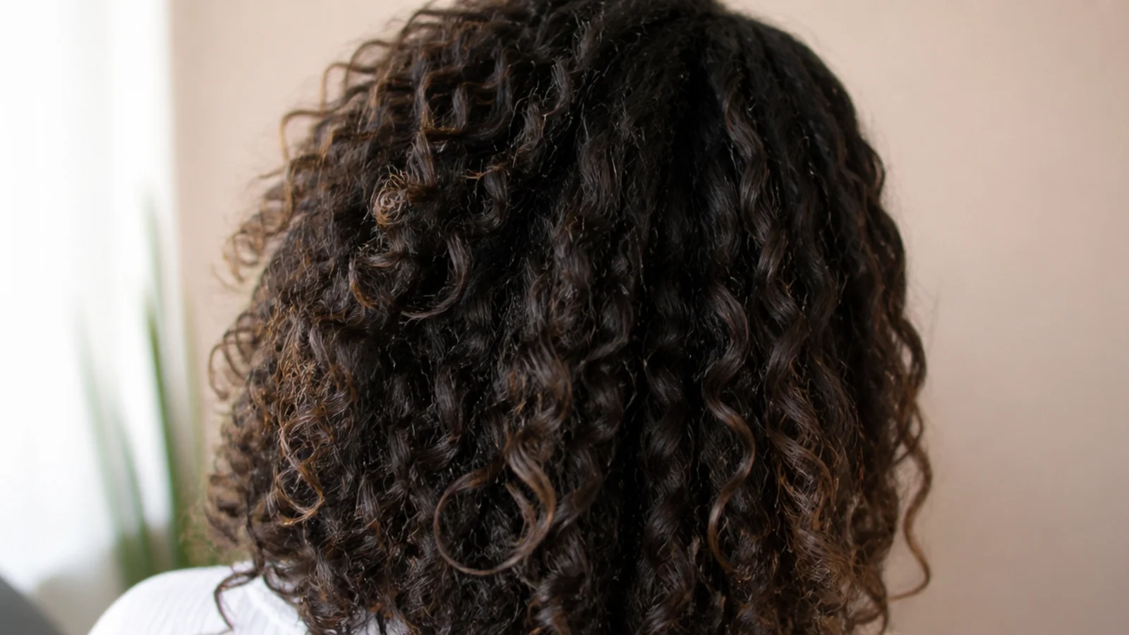 Diffused wash and go on frizzy curly hair with defined curl clumps and lifted volume at the roots