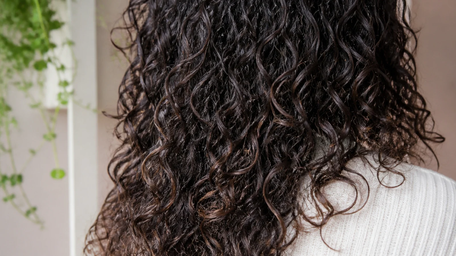 Long layered haircut on frizzy 3B curls with tapered ends keeping the curl shape defined