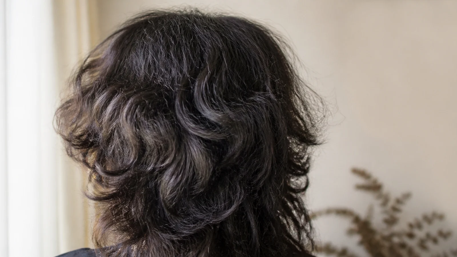Wolf cut on thick frizzy hair with feathered crown layers and a shaggy tapered perimeter