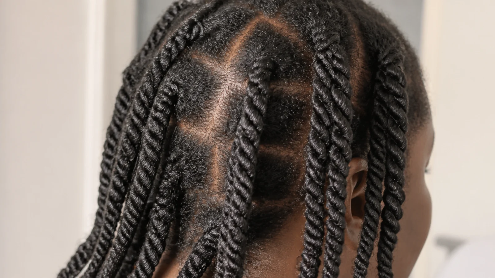Wet 4C hair in eight chunky two-strand twists drying in a stretched state