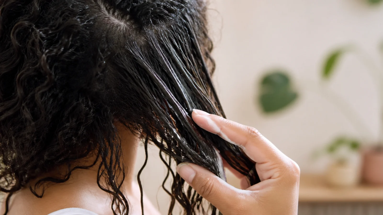 Fingers separating a section of curly hair coated in slippery conditioner from the ends upward