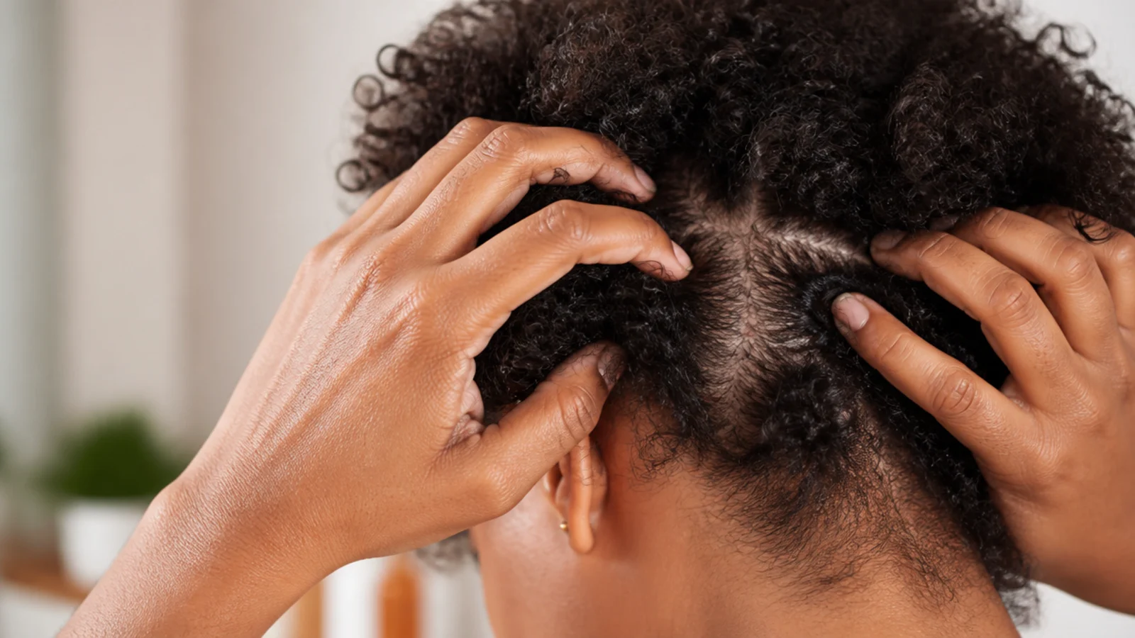 Fingertips massaging the scalp in circles through parted coily hair before bed