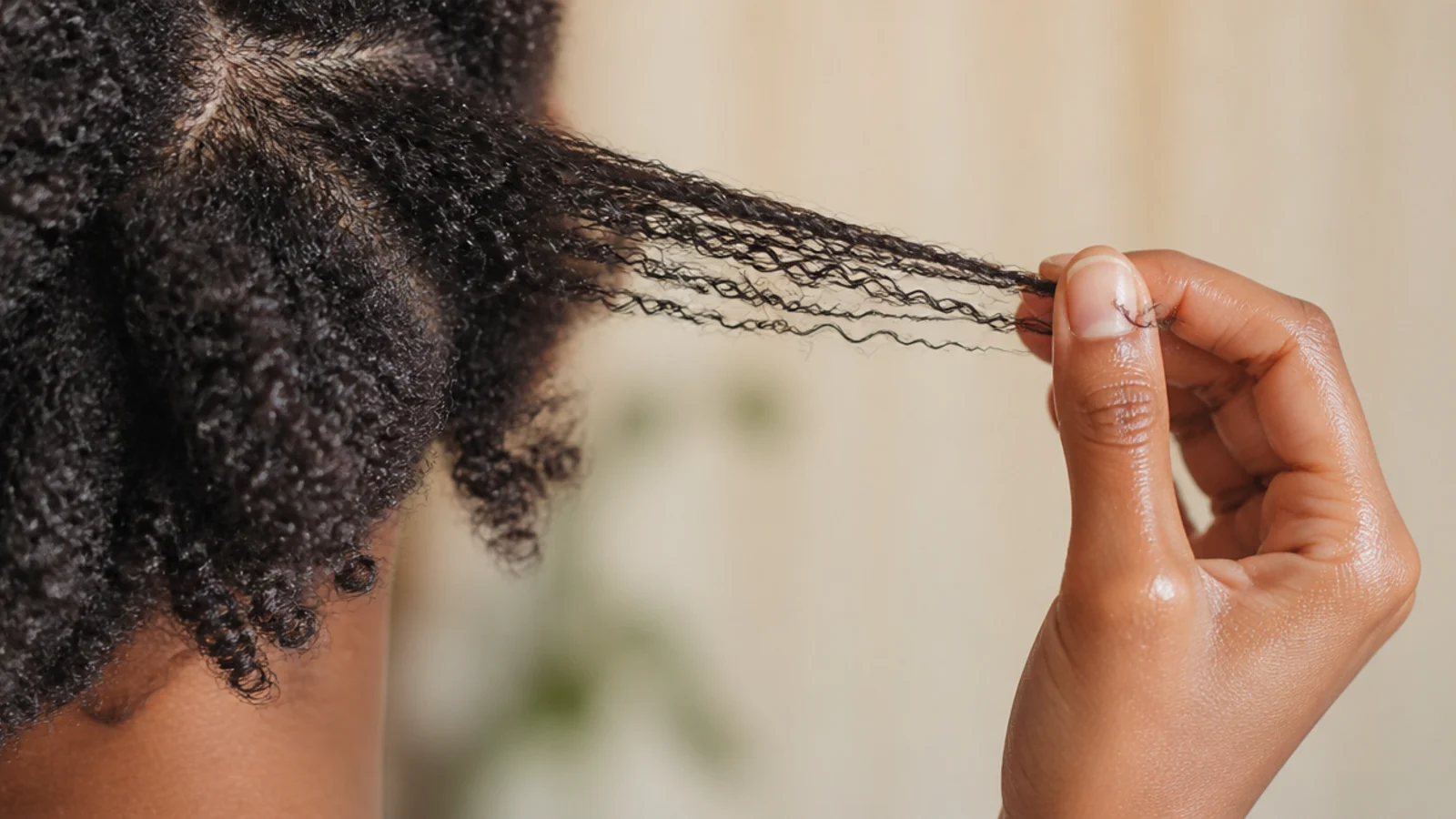Wet strand of coily Black hair being stretched between fingers to test moisture and protein balance