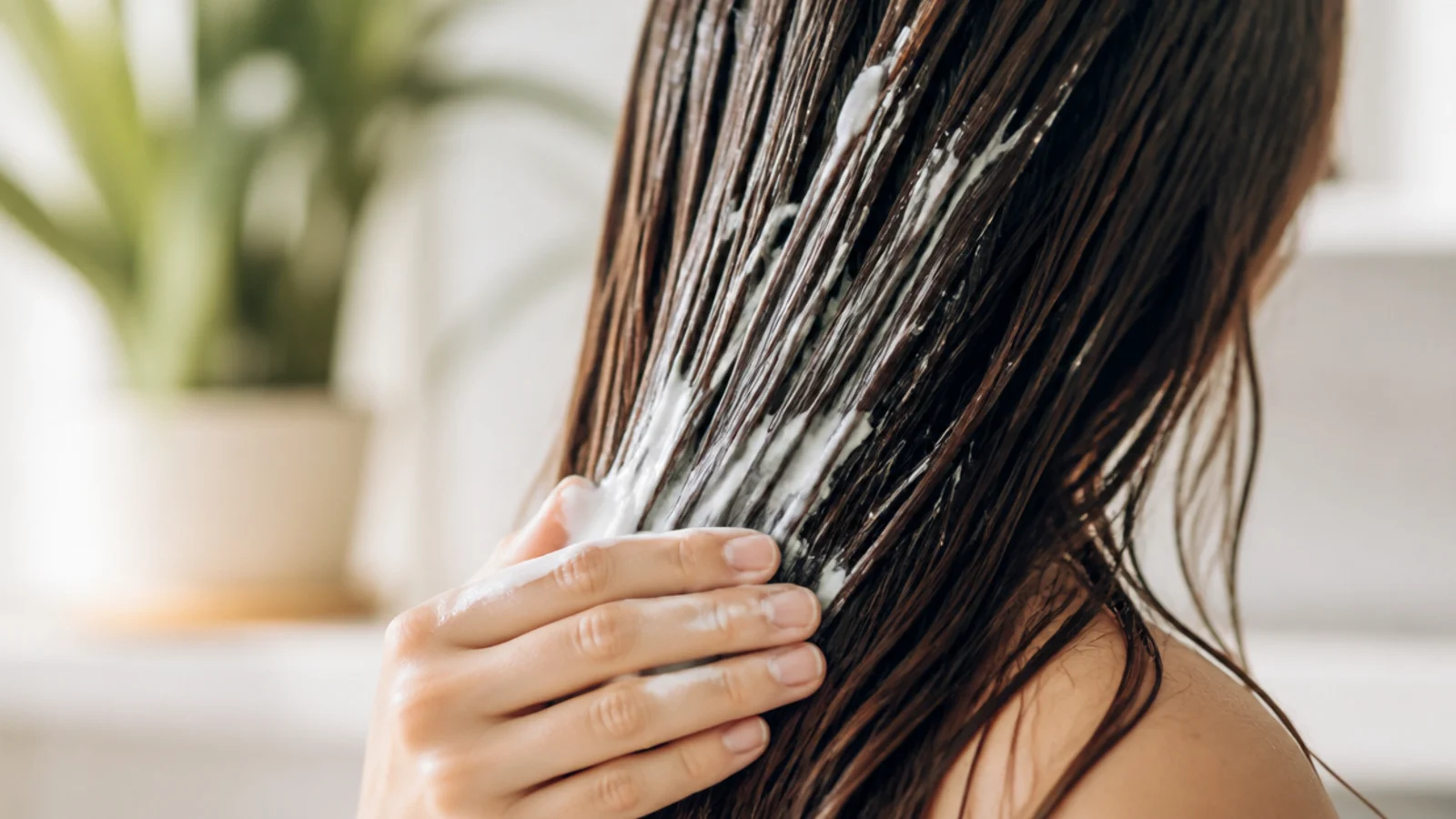 Thick deep conditioning mask being smoothed onto the ends of long wet hair