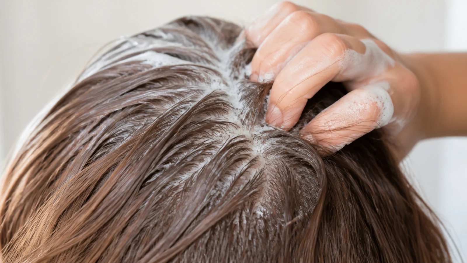 Sulfate-free shampoo lathered only at the scalp roots of medium length hair