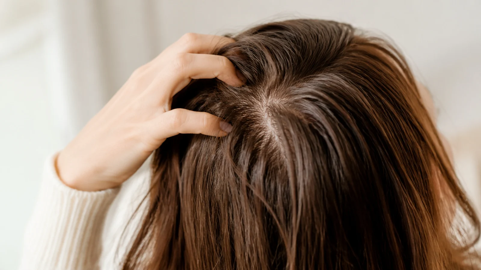 Fingertips massaging the scalp in circles at the crown on dry long hair