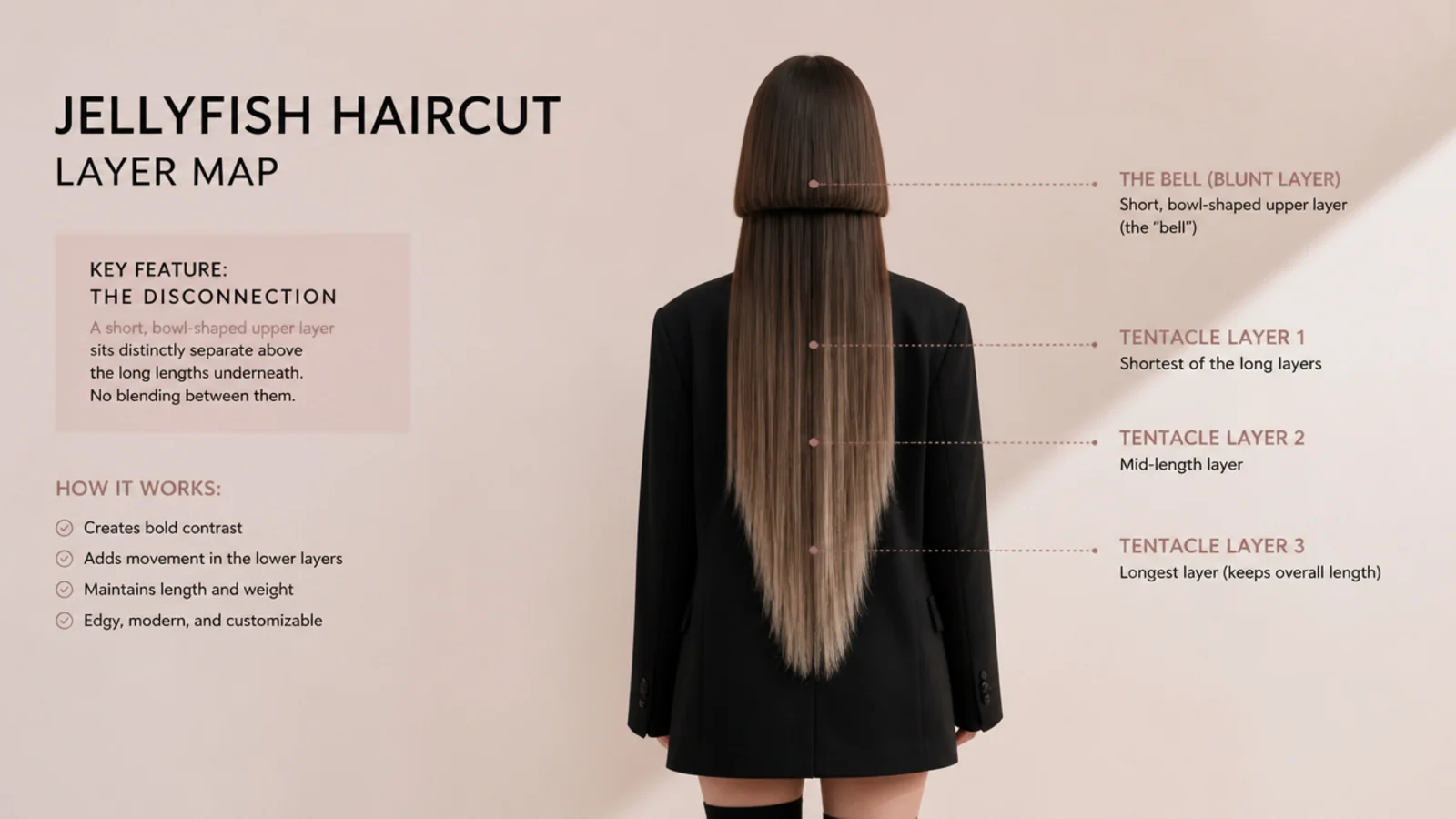 Layer placement map for a layered jellyfish haircut showing blunt bell and three layer lengths in the tentacles