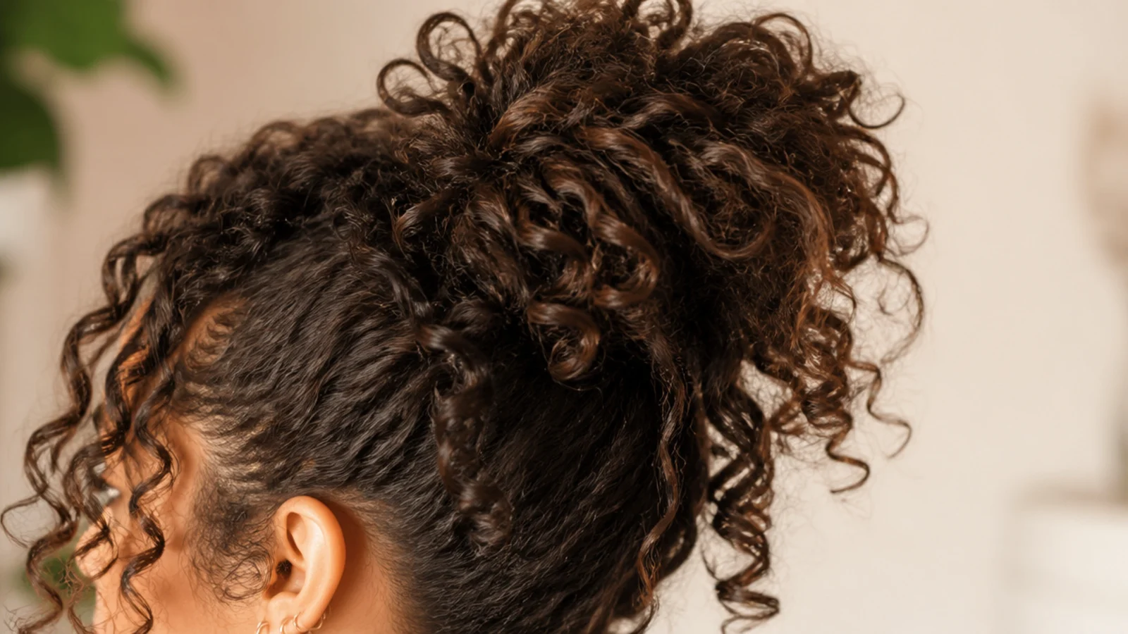 Curly messy pineapple ponytail gathered high on the head for 3a to 4c textured hair