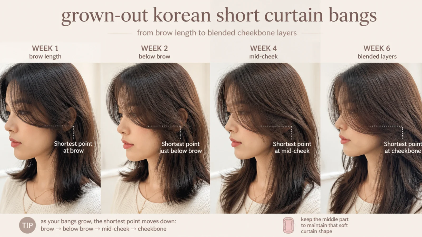 Timeline of grown-out Korean short curtain bangs from brow length to blended cheekbone layers