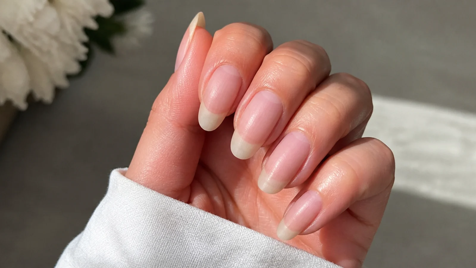 A healthy natural nail after a matte gel manicure is removed